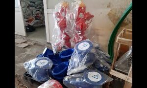 Van Cổng Lá Van Bọc Cao Su Shinyi – Trụ Cấp Nước PCCC Shinyi DN100
