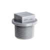 [Cập Nhật Giá] Phụ Tùng Ống Hoa Sen – Nắp Bịt Ren Ngoài – Nhựa uPVC  1