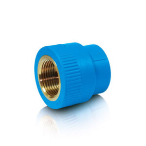 [Cập Nhật Giá] Nối Ren Trong – Ống Dekko PPR 2 Lớp Chống Tia UV