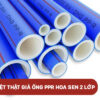 CÁCH NHẬN BIẾT ỐNG NHỰA PPR HOA SEN 2 LỚP THẬT GIẢ 1