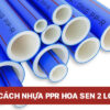 Quy cách ống nhựa PPR Hoa Sen 2 lớp chính hãng mới nhất 2