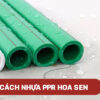 Quy cách ống nhựa PPR Hoa Sen chính hãng cập nhật mới nhất 2