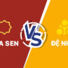 So sánh ống nhựa Hoa Sen và ống nhựa Đệ Nhất mới nhất 2