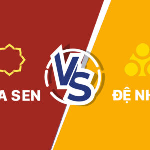 So sánh ống nhựa Hoa Sen và ống nhựa Đệ Nhất mới nhất